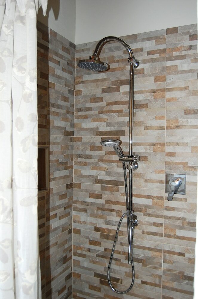 B&B Fraxinus Excelsior