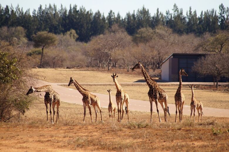 Villa Lowveld Escape