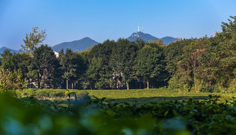 Hotel Hangzhou Shusheng Resort