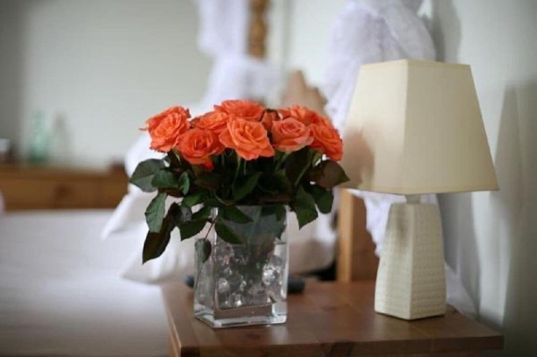Bed & Breakfast Winton House