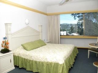 Hotel Diana Del Bosque