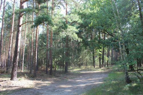 Apartamento Walnu�hof