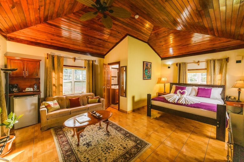 Hotel Kiki Witz