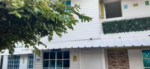 Hostal Posada Nativa Miss Zelzel Place