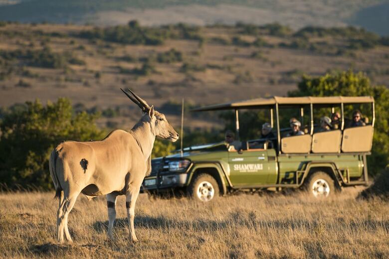 Posada Shamwari Bayethe - All Inclusive