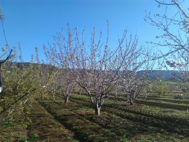 Agroturismo Les Jardins D'azrou