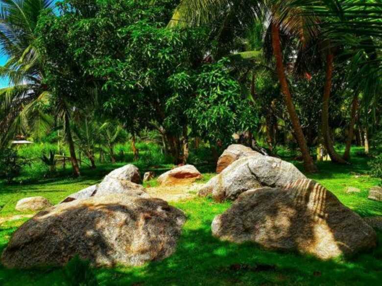 Green Sapphire Holiday Resort Wilpaththu