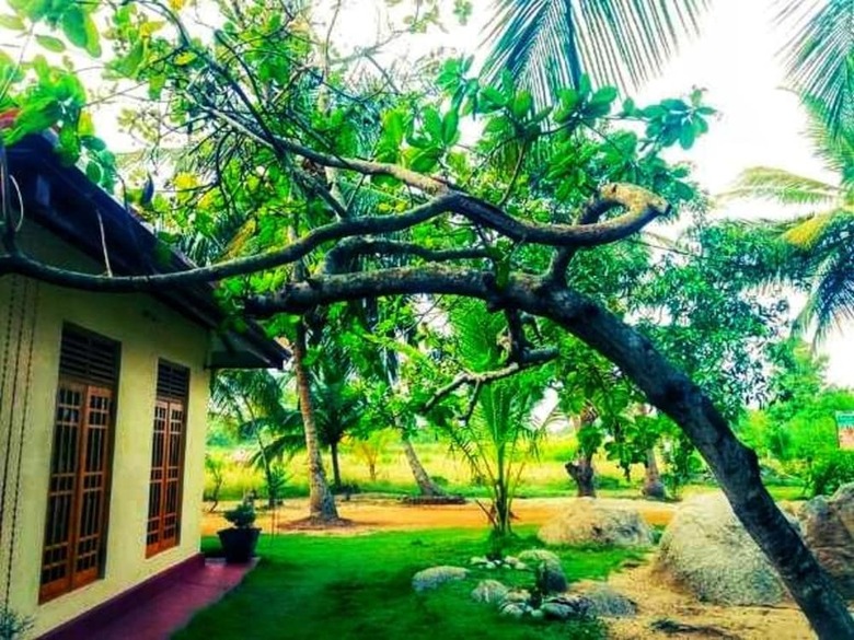 Green Sapphire Holiday Resort Wilpaththu