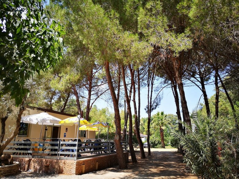 Camping Fico D'india