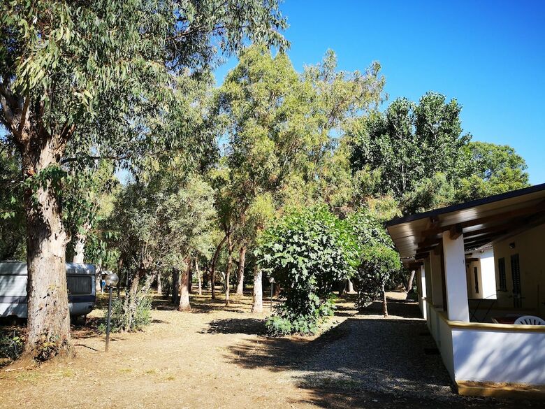 Camping Fico D'india