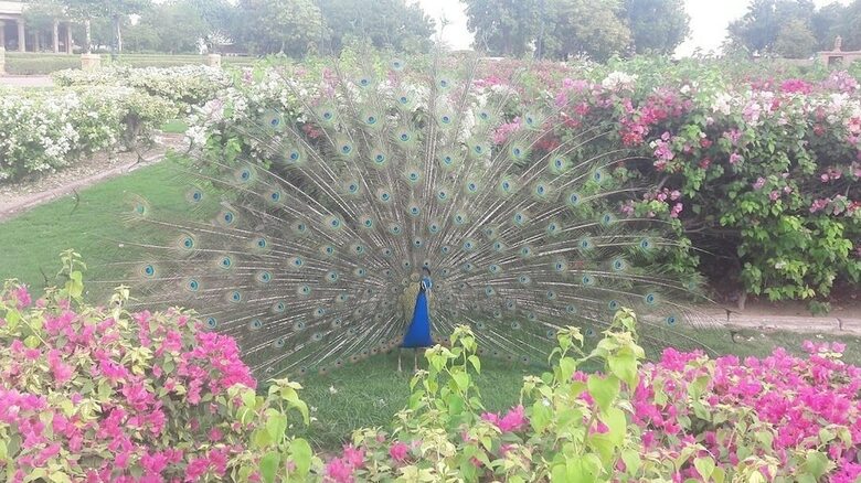 Hotel Bassi Fort