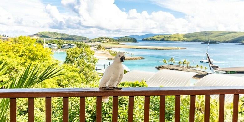 Apartamentos Casuarina 18 On Hamilton Island