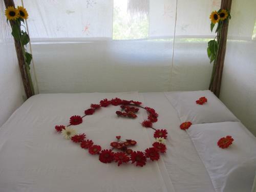 Lodge Finca Los Angeles