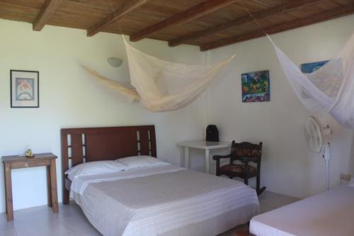 Hostal Jaguar Azul Palomino