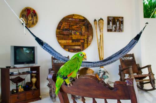 Bed & Breakfast Hotel San Basilio De Palenque