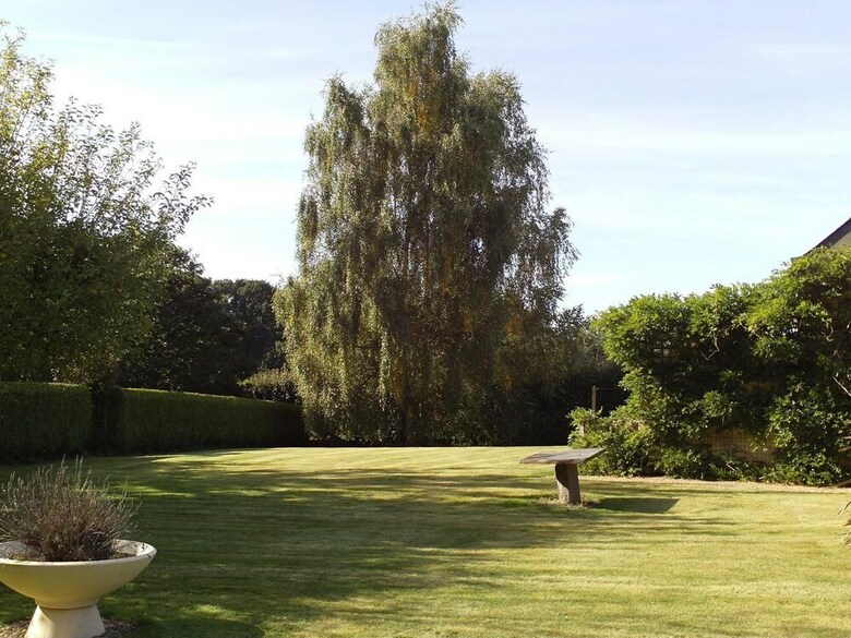 Le Mas Des Oliviers