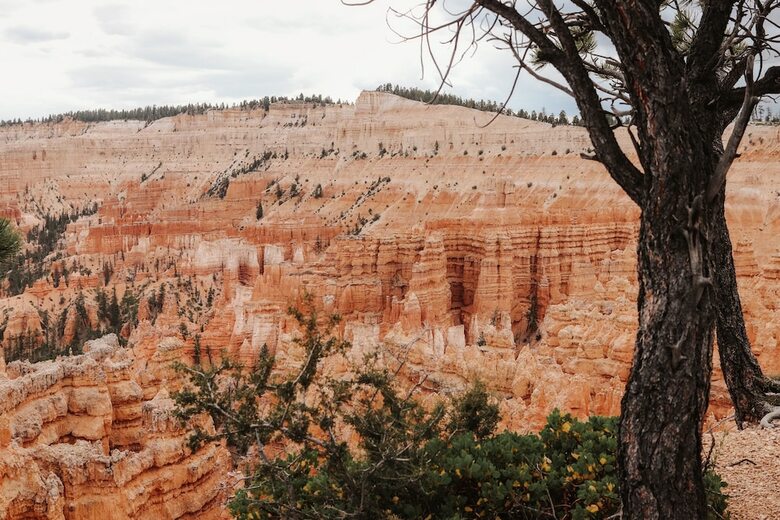 The Cottages At Bryce Canyon
