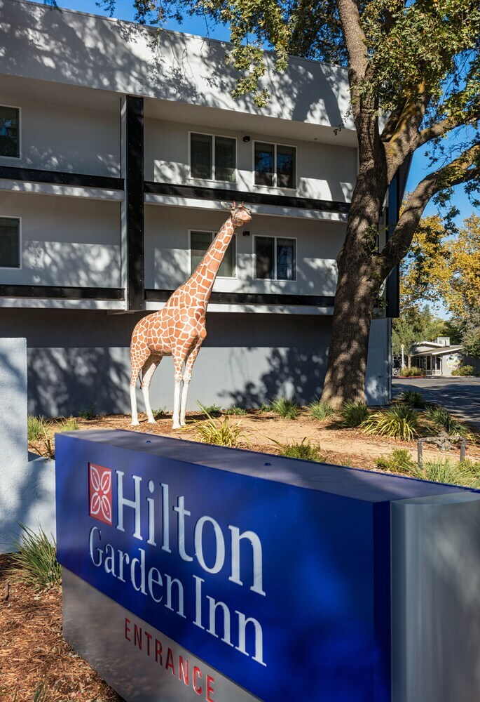 Hotel Hilton Garden Inn Davis Downtown