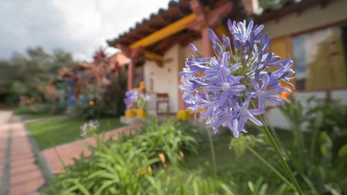 Hotel Termales El Oto�o
