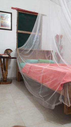 La Candelaria Coffee Farm B&B
