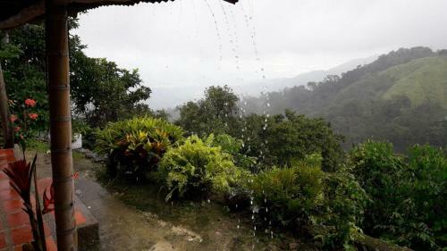 La Candelaria Coffee Farm B&B
