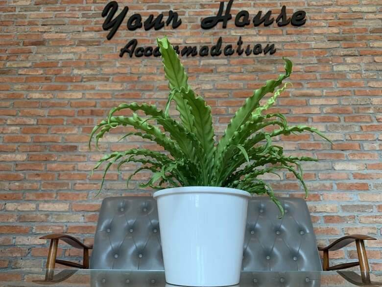 Your House Accommodation