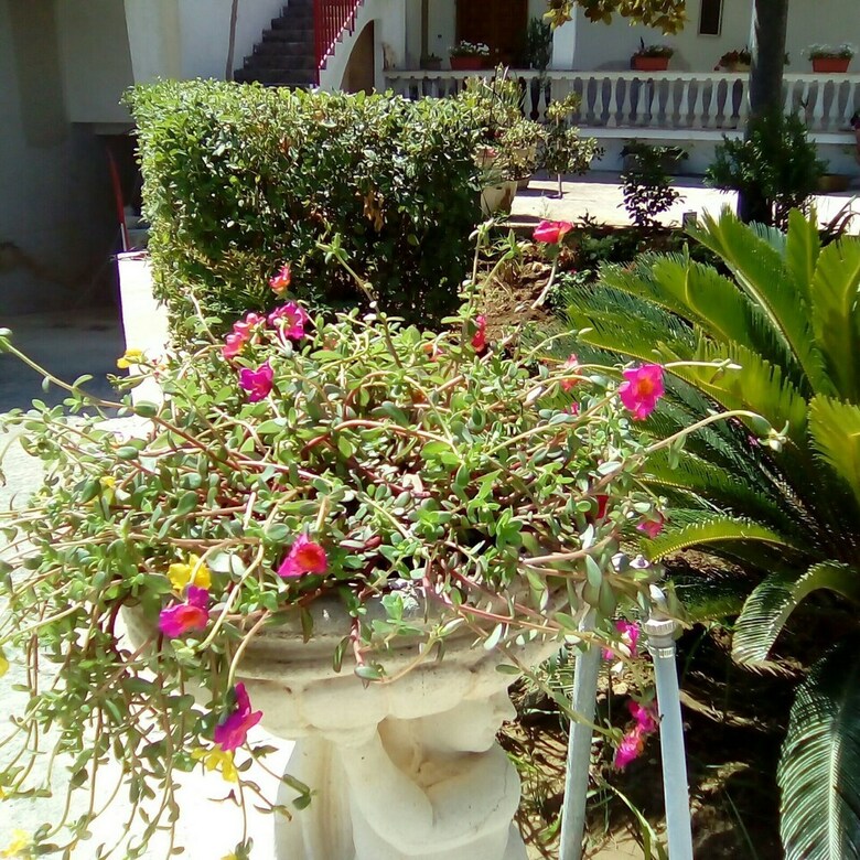 Bed & Breakfast I Colori Di Villa Amalia
