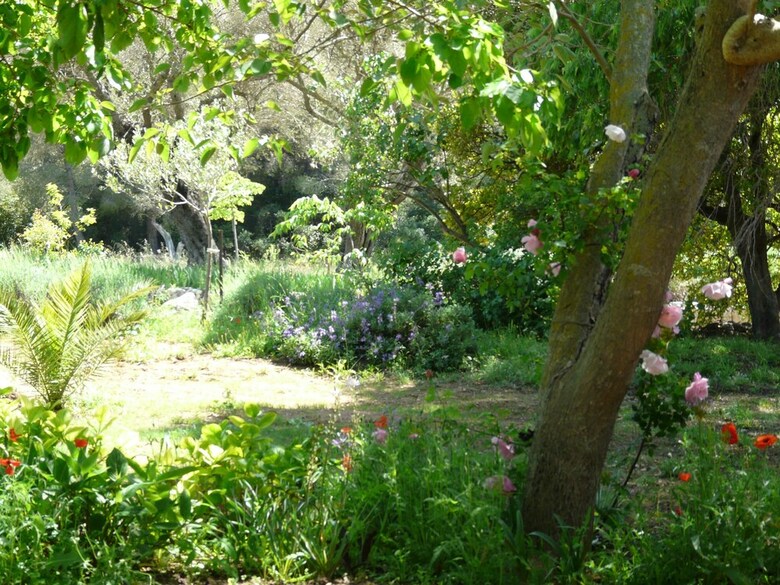 Villa G?te Bastide Sainte Trinide