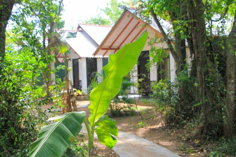 Hotel Palmyra Nature Resort Sigiriya