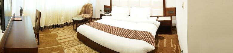 Hotel Citi Palaza