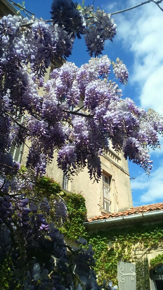 Bed & Breakfast Chambres D'h�tes Maison Auguste