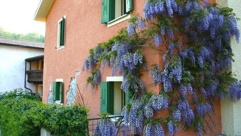 Apartamento Bb La Nicchia