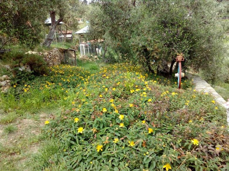 Imperia Bed & Breakfast