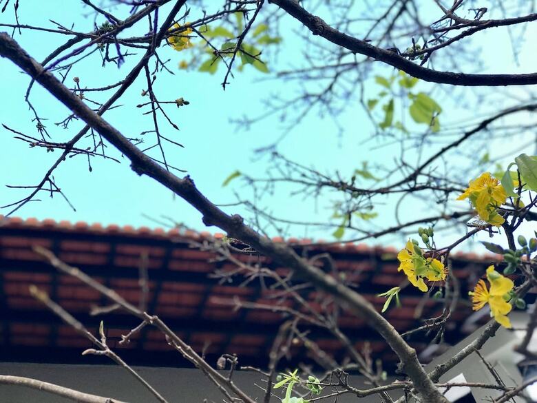 Hotel Khanh's Home