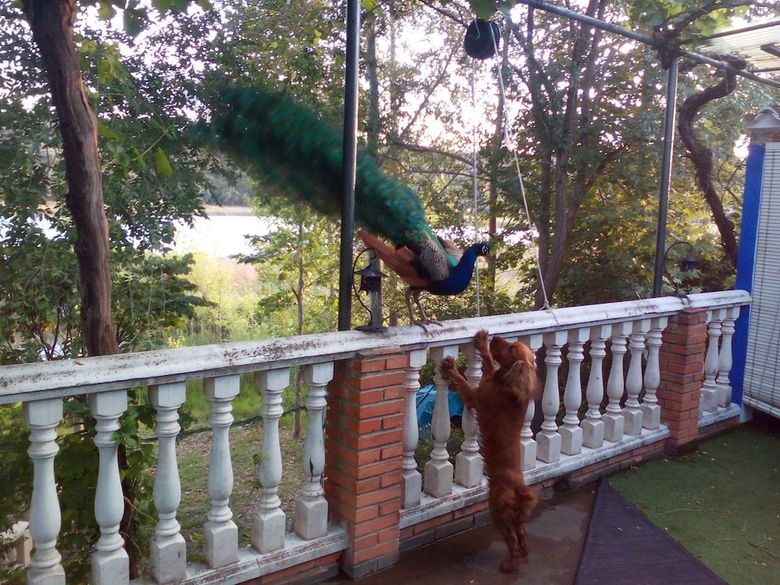 Agroturismo Finca Rural Los Campos