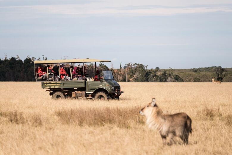 Hotel Plettenberg Bay Game Reserve