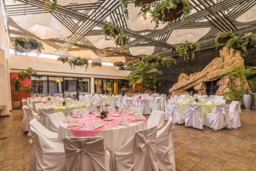 Hotel Executivo Culiacan