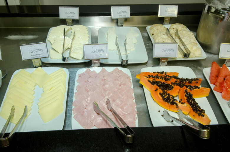 Bristol Convention Hotel Expominas