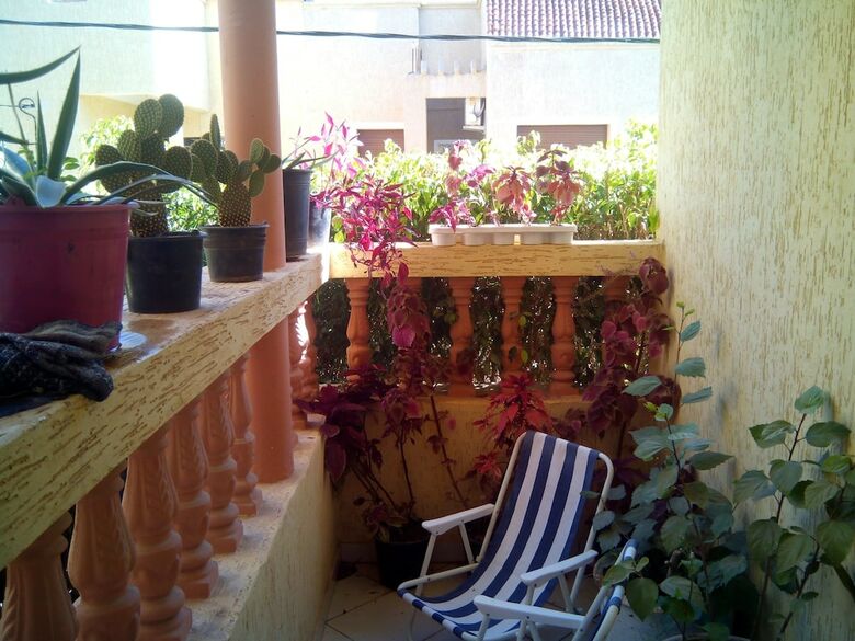 Apartamentos La Torreblanca Appartement
