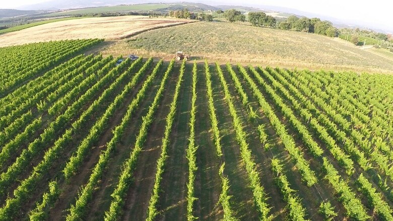 Agroturismo Antica Grancia Di Quercecchio