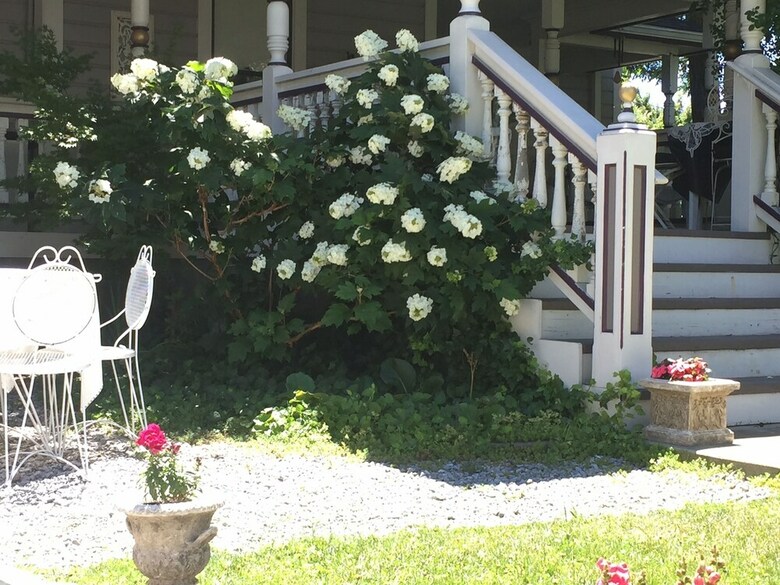 Hotel Weaverville Whitmore Inn