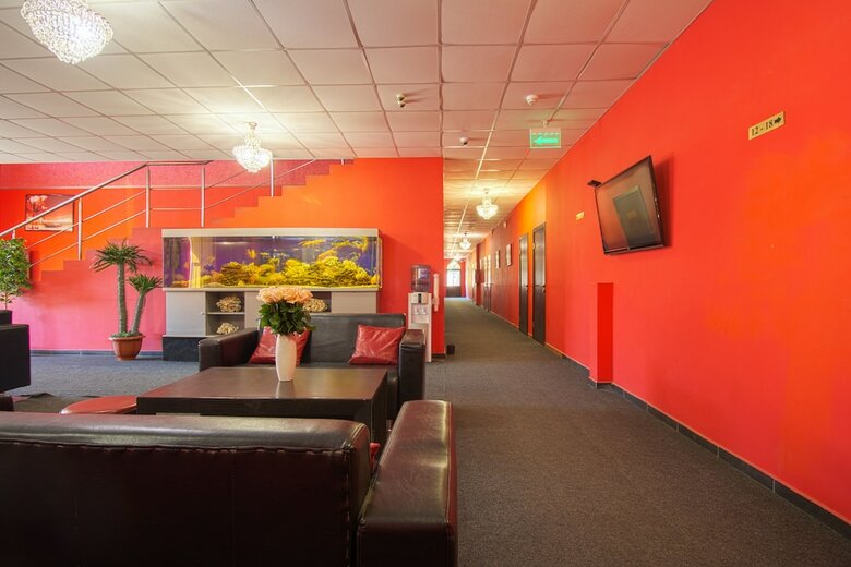 Hotel Oasis In Forest