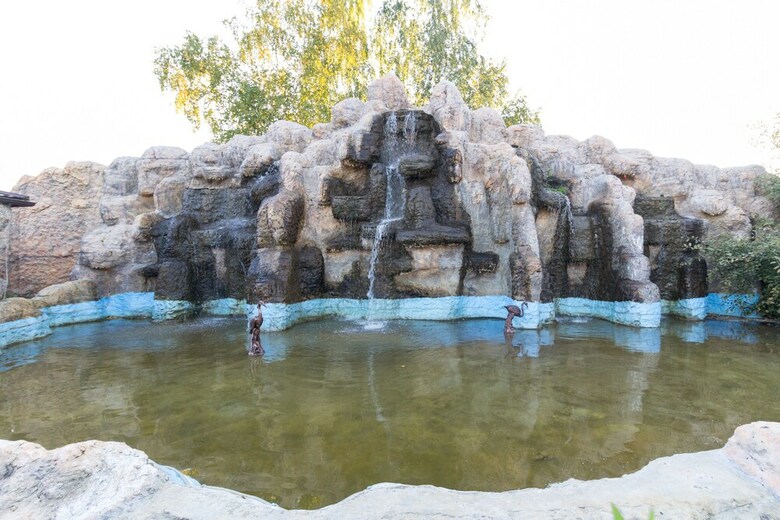 Hotel Oasis In Forest