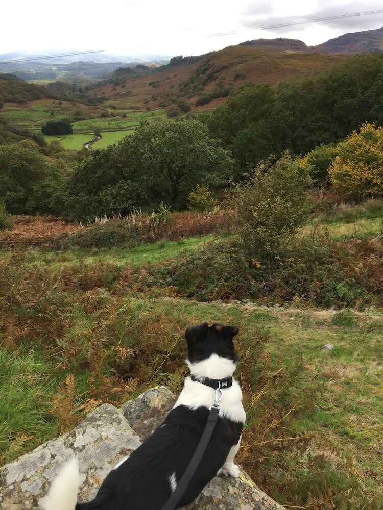 Hotel Pisgah Guest House