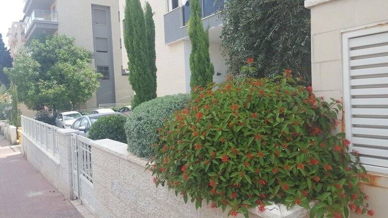 Apartamento Penthouse In The City