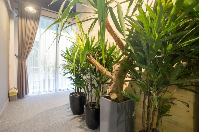 Hostal The Secret Garden