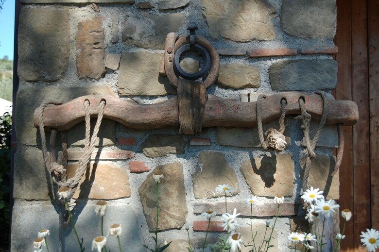 Agroturismo Borgo Del Senatore