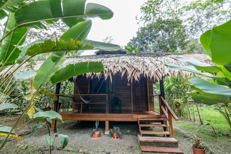 Hotel Cariblue Beach And Jungle Resort