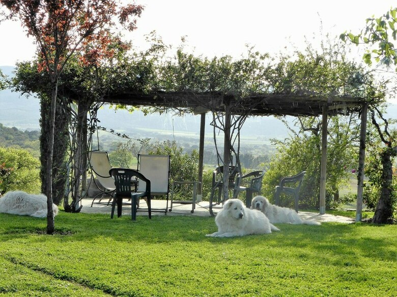 Agroturismo Podere N� 8 In Maremma