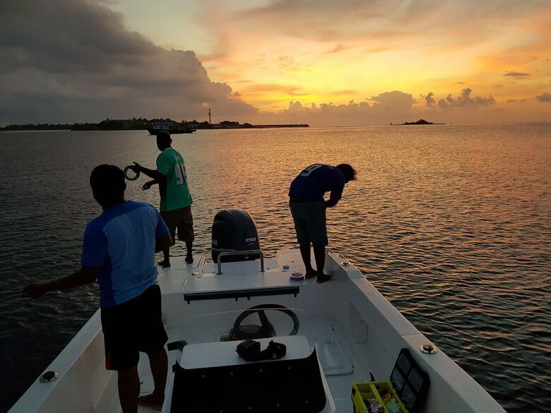 Hotel Hibiscus Holidays
